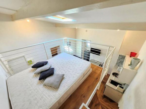 Appartement T2 coconing, WIFI, INTERNET, CLIM, 300m plage